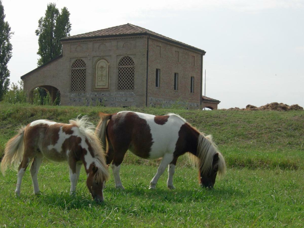 Готель Agriturismo Corte Ghiara Фонтанеллато Екстер'єр фото